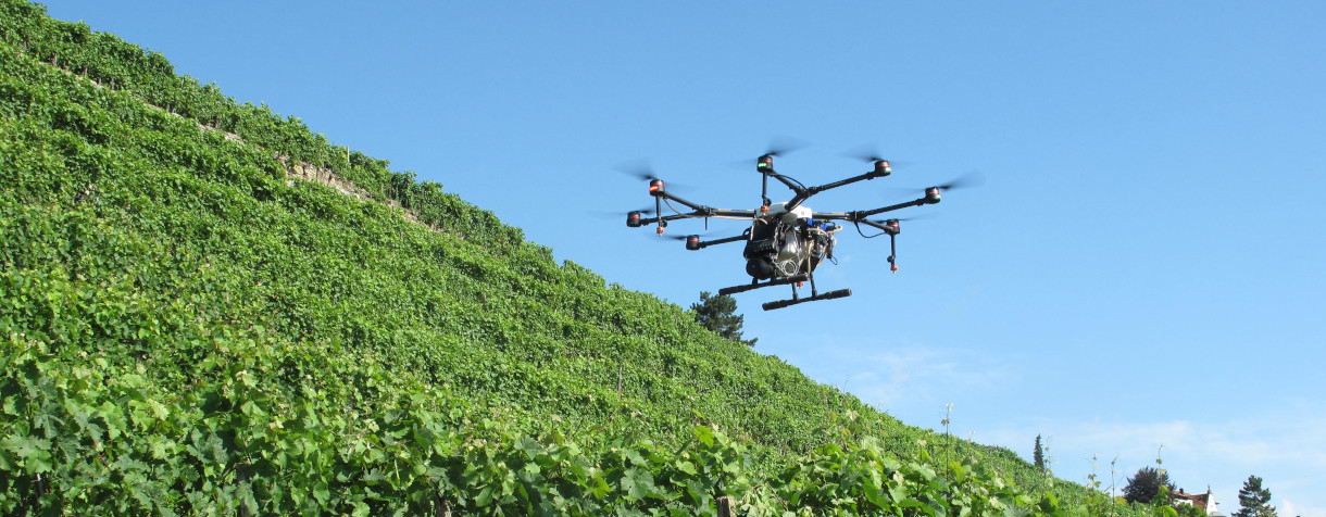 Drohne bei der PSM-Ausbringung im Weinberg