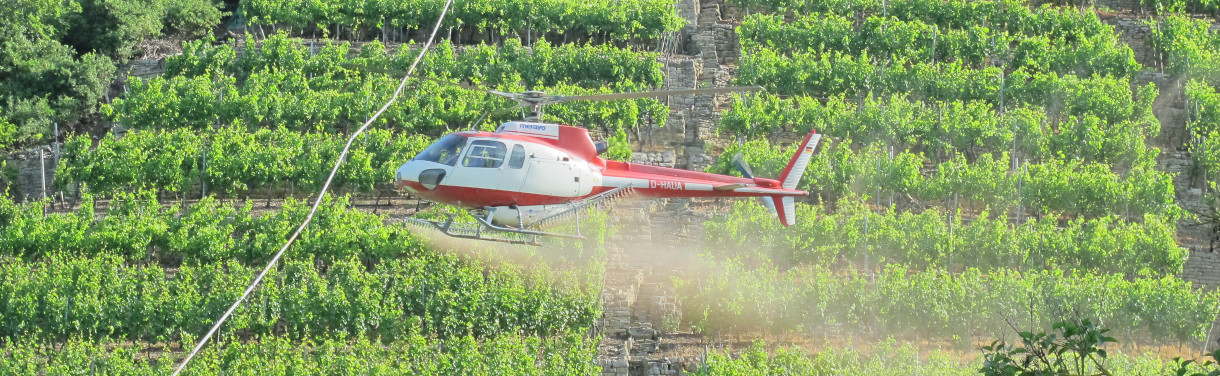 Pflanzenschutz in Steillagen-Weinberg mit Hubschrauber
